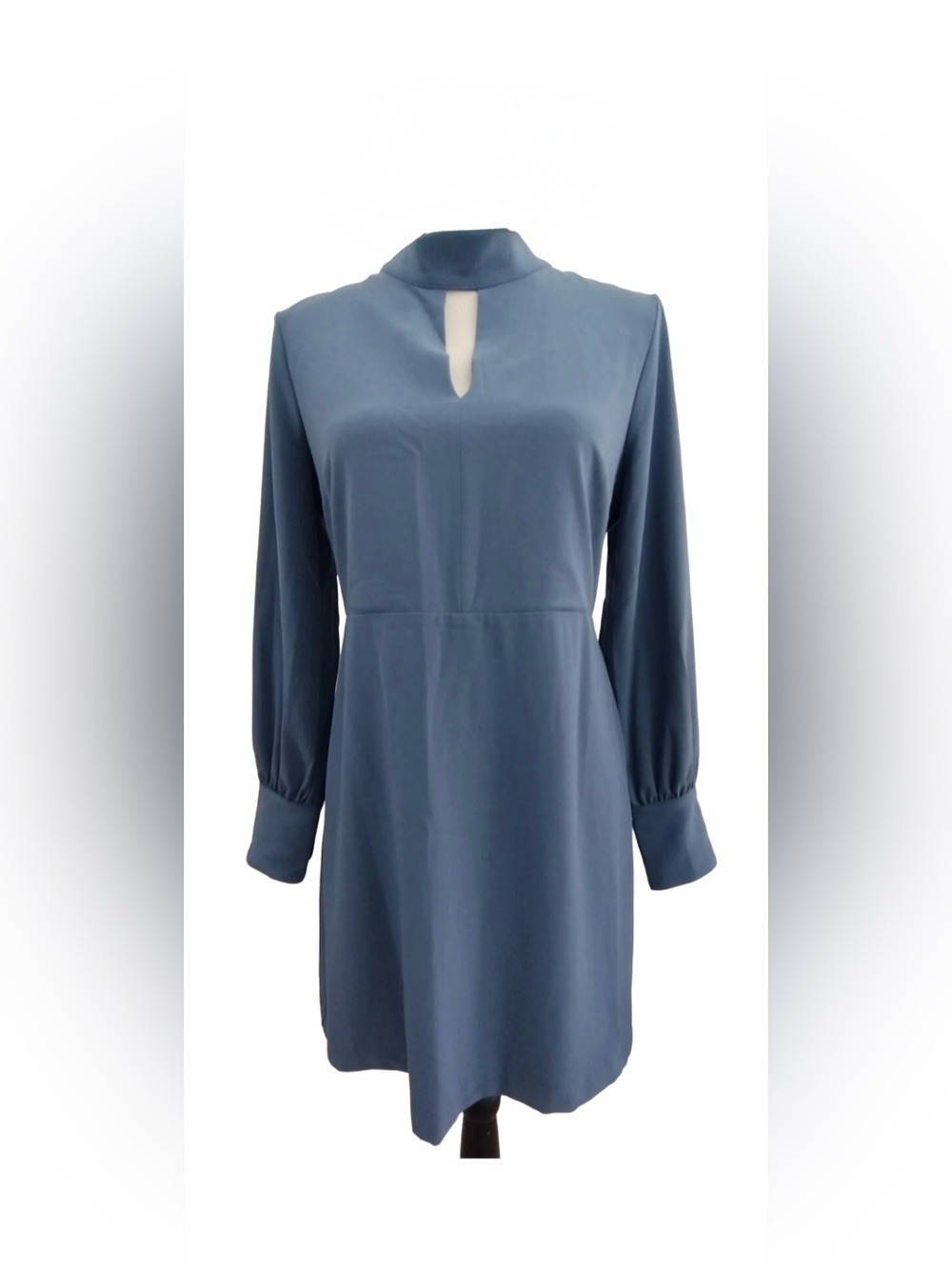 Banana Republic Long Sleeve mock neck Keyhole mini Dress